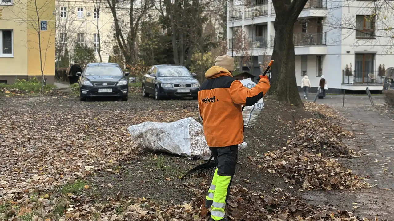 Prace porządkowe na osiedlu w Lublinie – zbieranie liści i sprzątanie terenu Prace porządkowe na osiedlu w Lublinie – zbieranie liści i sprzątanie terenu