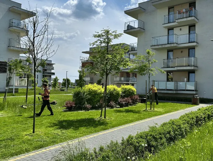 Pielęgnacja zieleni przy budynkach w Lublinie – koszenie i porządek wokół obiektu