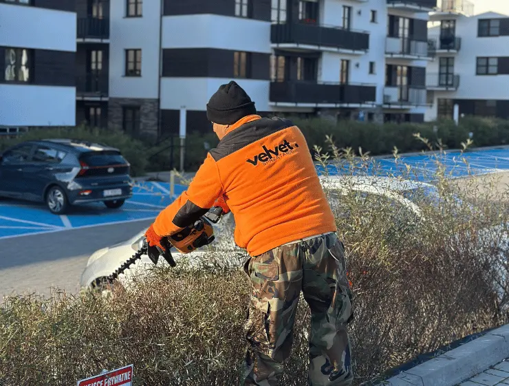 Pielęgnacja zieleni przy wspólnocie w Lublinie – przycinanie krzewów i porządkowanie terenu