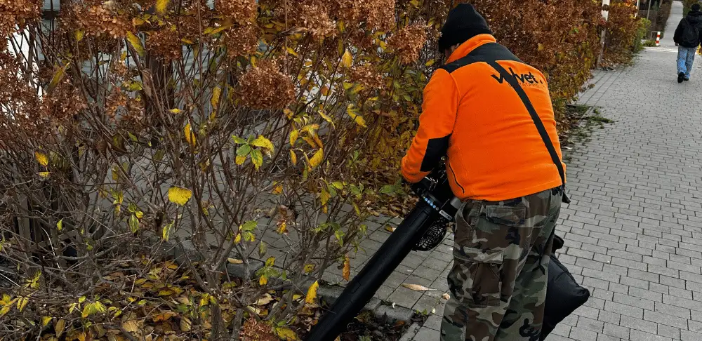 Porządkowanie terenu zewnętrznego wspólnoty w Lublinie – usuwanie liści i zanieczyszczeń