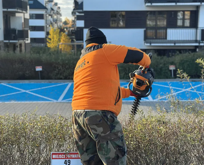 Przycinanie krzewów na osiedlu w Lublinie – utrzymanie terenów zielonych i zewnętrznych