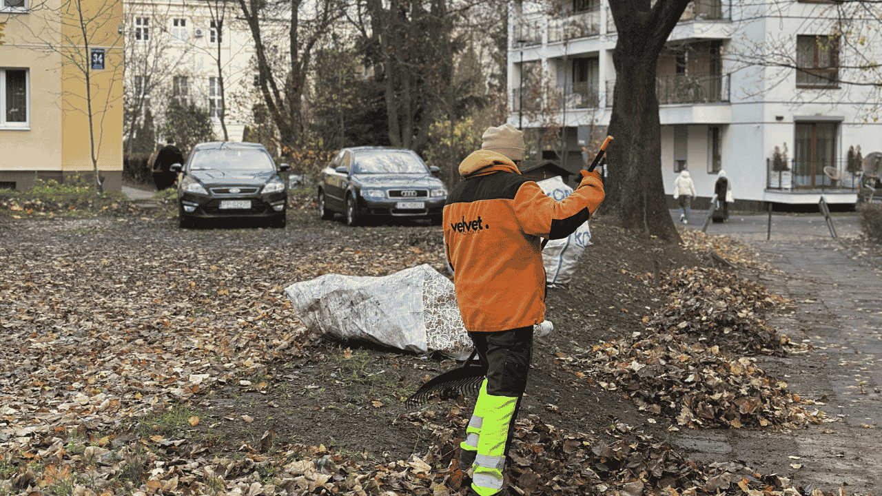 Sprzątanie terenu zewnętrznego przy budynku mieszkalnym przez firmę Velvet Sprzątanie