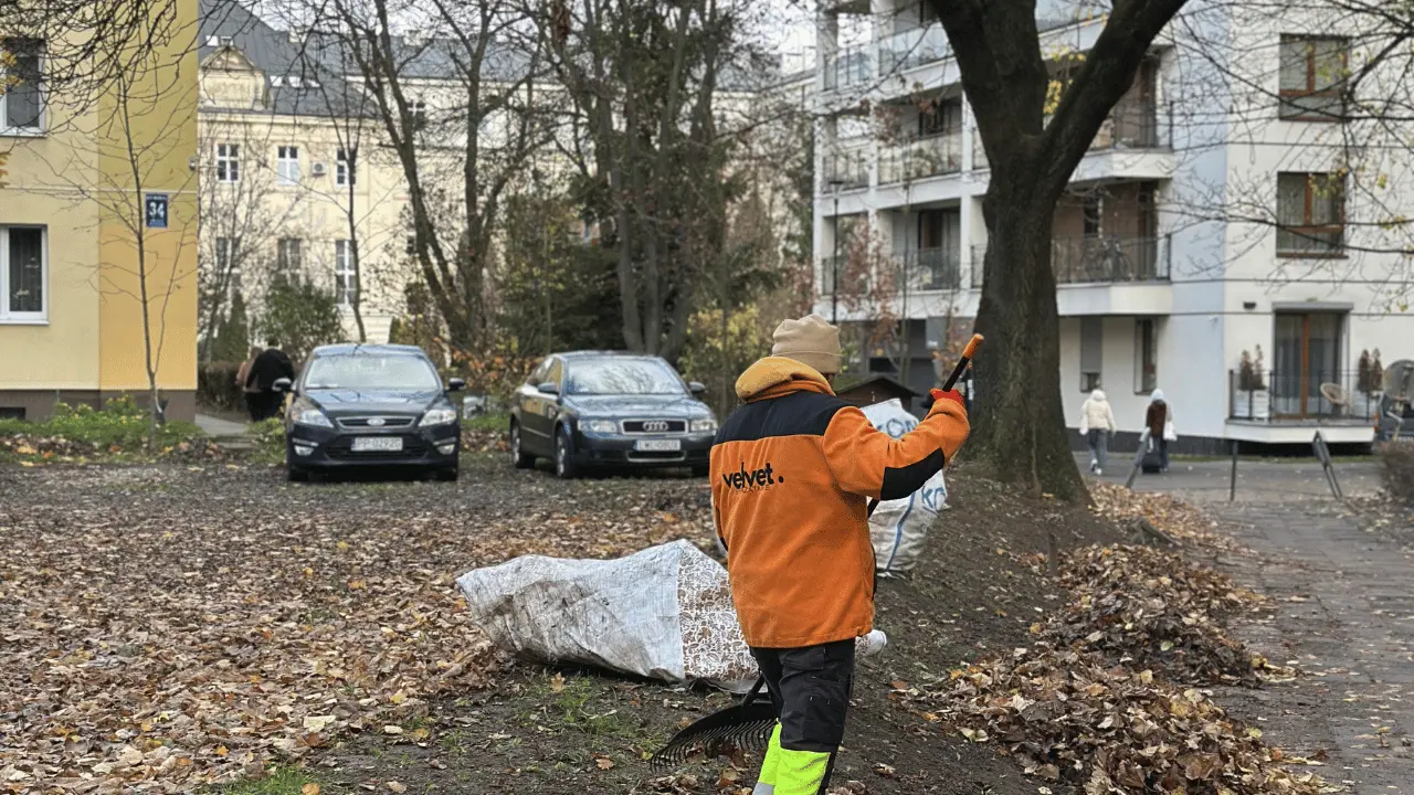 Jesienne grabienie i zbieranie liści na terenie osiedla mieszkaniowego