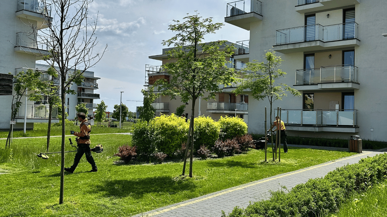 Podkaszanie obrzeży i pielęgnacja zieleni przy budynkach mieszkalnych