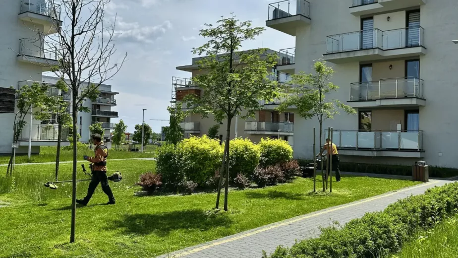 Pracownicy wykonujący koszenie trawy i pielęgnację zieleni wokół budynków mieszkalnych