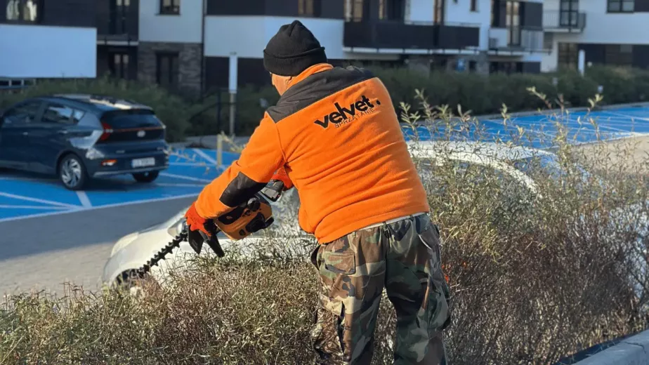 Pracownik Velvet Sprzątanie przycinający żywopłot przy parkingu na osiedlu mieszkaniowym