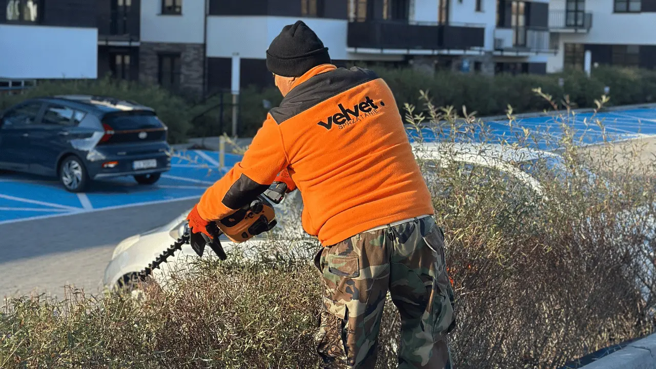 Pracownik Velvet Sprzątanie przycinający żywopłot przy parkingu na osiedlu mieszkaniowym