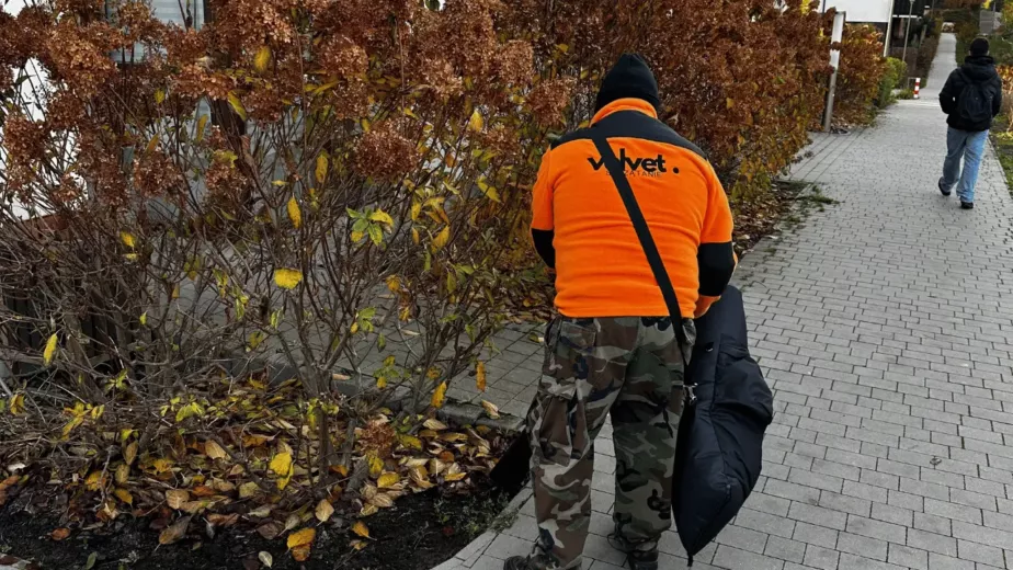 Pracownik firmy sprzątającej podczas jesiennego porządkowania terenów zewnętrznych wspólnoty mieszkaniowej