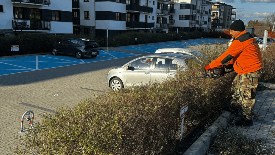 Pracownik przycinający żywopłot przy parkingu na terenie osiedla mieszkaniowego