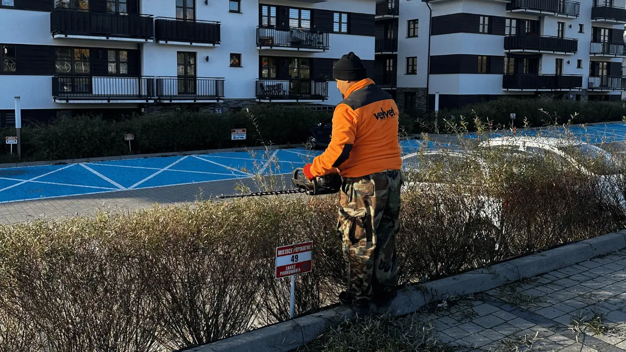 Przycinanie żywopłotu przy miejscach parkingowych na terenie wspólnoty mieszkaniowej